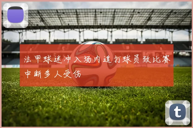 法甲球迷冲入场内追打球员致比赛中断多人受伤