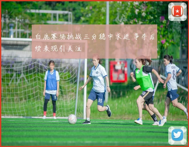 白鹿赛场挑战三分稳中求进 争夺后续表现引关注