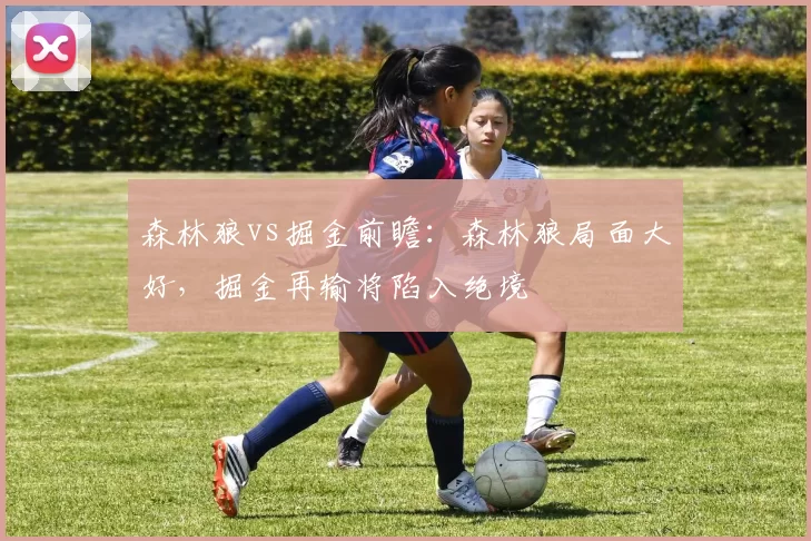 森林狼vs掘金前瞻：森林狼局面大好，掘金再输将陷入绝境