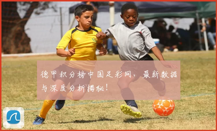德甲积分榜中国足彩网,最新数据与深度分析揭秘!